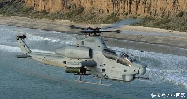 这是一棵什么树?美军为砍掉它不惜战争,连