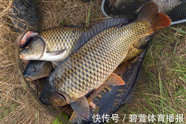 水温|悄悄告诉你,初秋出钓,要做到这5点调整