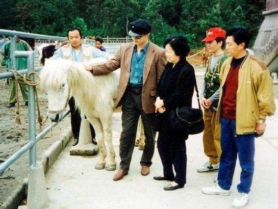 白龙马！86版《西游记》白龙马惨死马棚，尸骨无存，揭开人性的恶