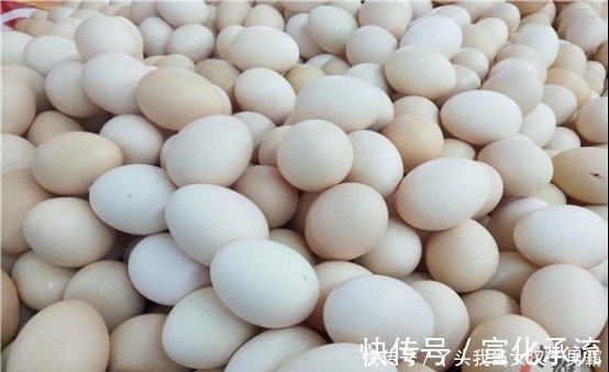 红壳鸡蛋|才知道,红壳鸡蛋和白壳鸡蛋,区别这么大,很多人不懂,别买错了