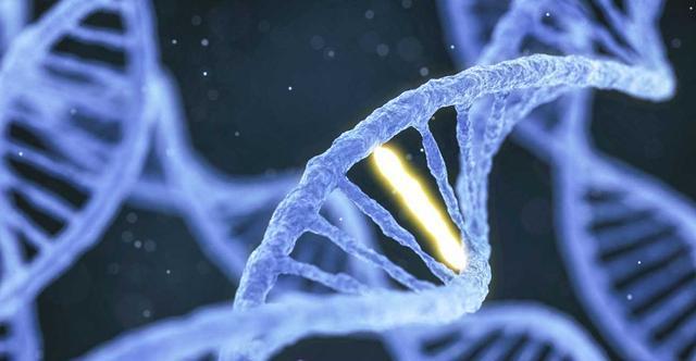 甘油三酯|高血脂不能碰“牛奶”?医生:甘油三酯超标,这2物还需尽早拉黑