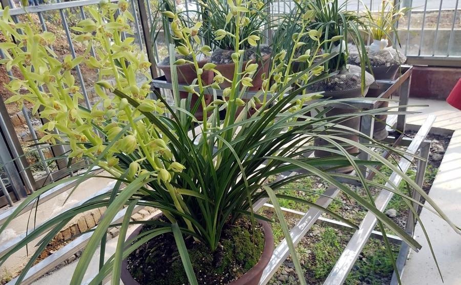 何时才是浇花的最佳时机,可从三大方面,来加以判断