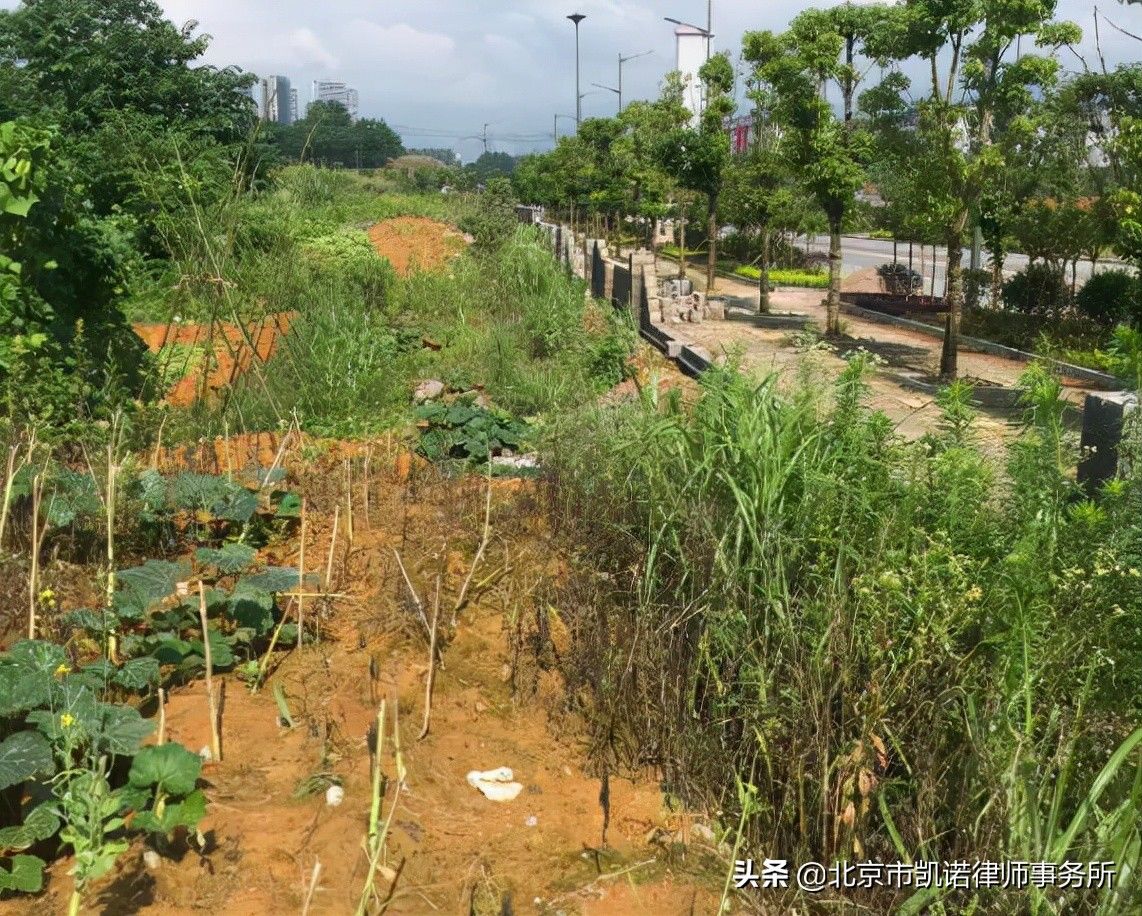 条件|外嫁女能否获得补偿安置的六个条件