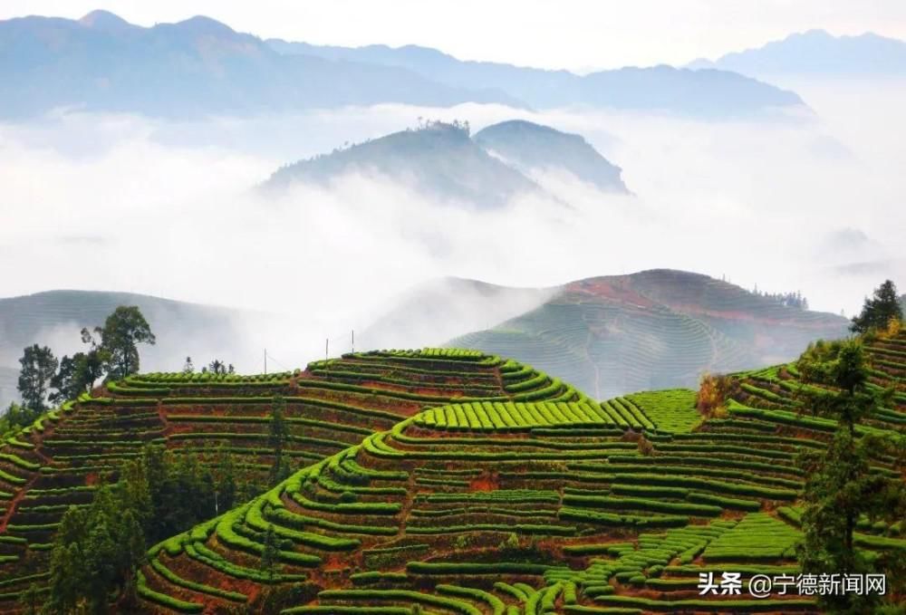  需注意|善护阳气，避免过耗，保暖养生需注意