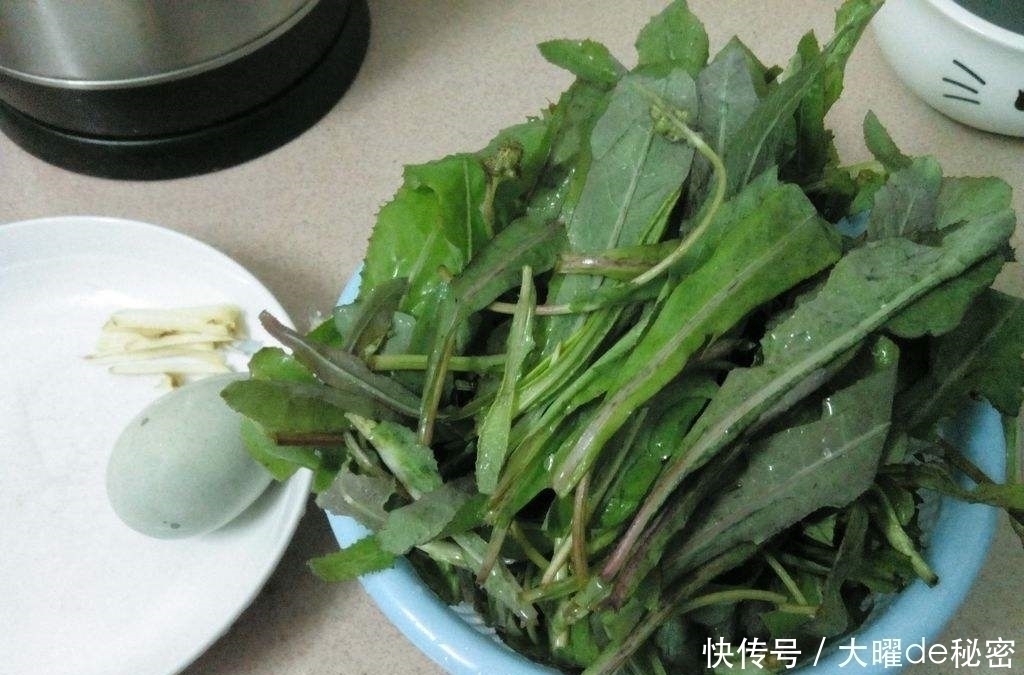 花百科|天冷就吃这种“野菜”，种子撒一把，30天长成一盆