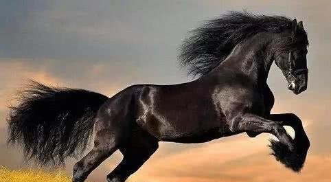 三国|三国时期战马排行榜,名动天下的赤兔仅排第二,第一经历可堪传奇