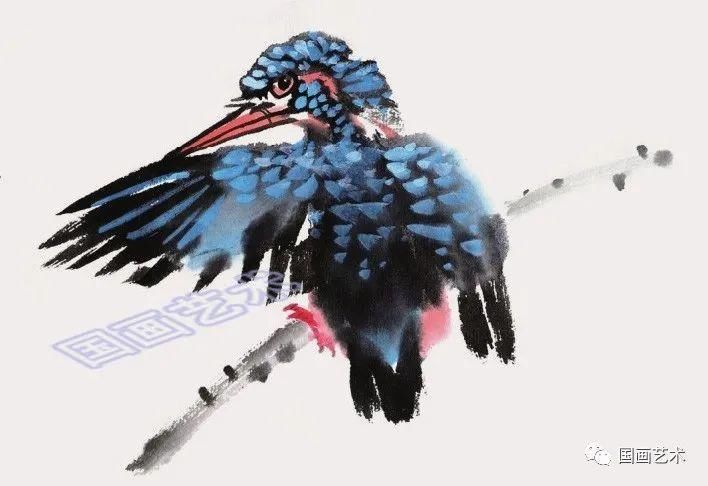  绘制出翠鸟|图文教程：轻松学画黄鹂、翠鸟