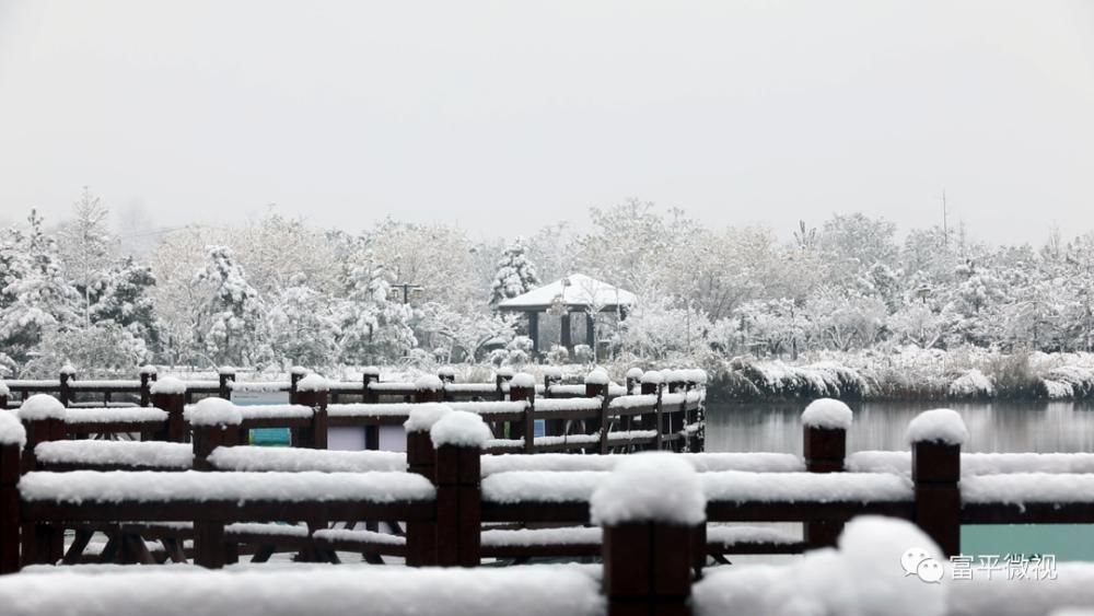 银装素裹|雪舞富平：银装素裹宛如仙境