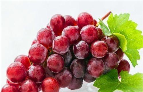 膳食纤维|女人爱美,常吃3种食物,清肠排毒、促进消化、化痰止咳