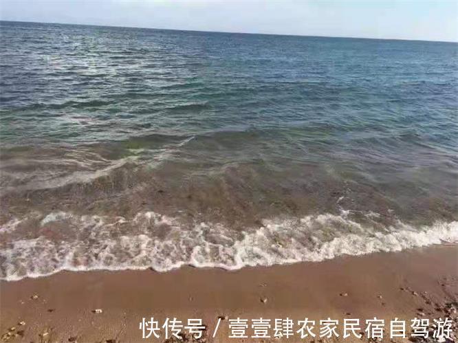 多汁|辽宁绥中东戴河望海阁渔家院，海鲜肥美多汁食客爆满，开门就是大海！