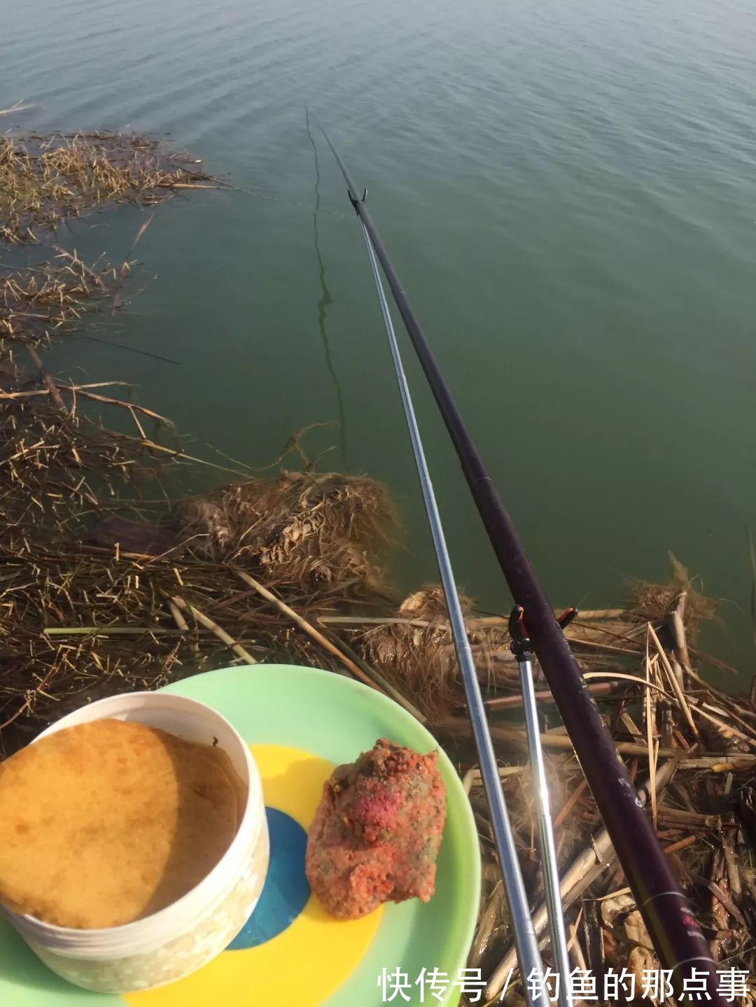 春钓鲫,不同时段重点不同,你都清楚吗?(附配方)