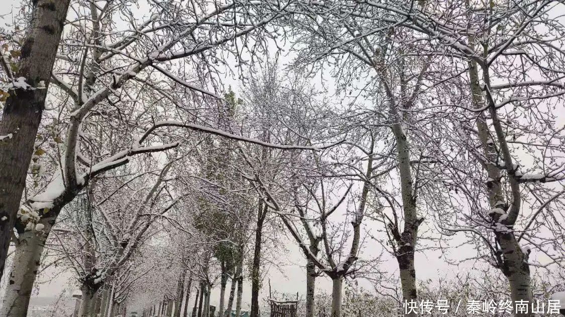 可至|西安秦岭这个峪口开车可至，适合大众爬山赏雪，还有2个免费寺庙和千年银杏