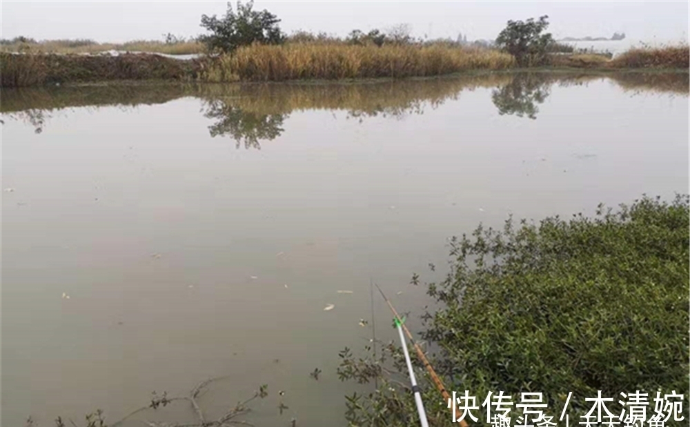 不做对比不知道,冬季钓鲫鱼,最好的天气不是晴天,而是这种天气