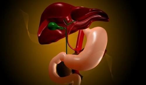 患上脂肪肝还不管不顾,以下4个危害,会“慢慢”找上你!