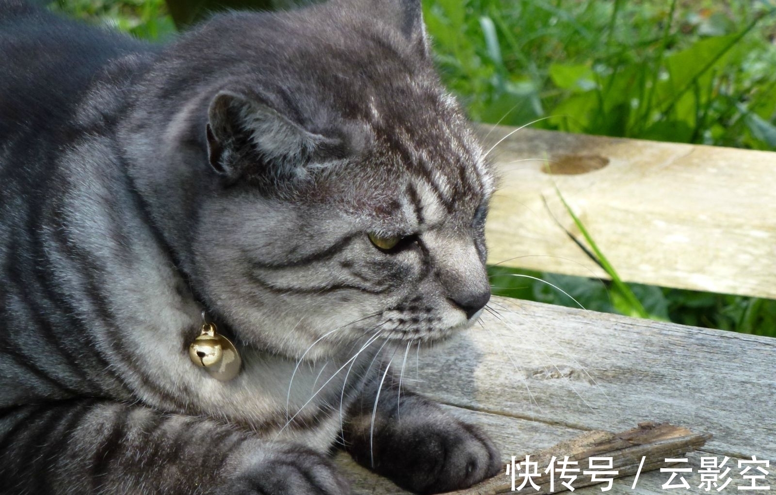 万字#强推5本开篇吸引人的网络小说，创意新文笔佳，真想一口气看完