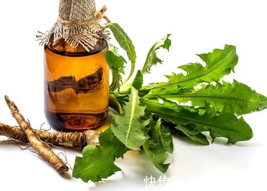 提取物|蒲公英杀死癌细胞，治疗甲状腺结节，是科学还是谣言？为你说清楚