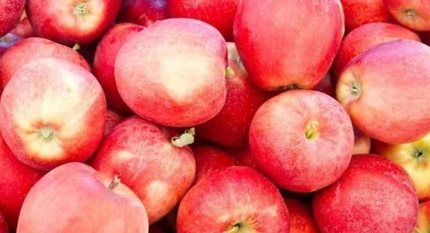 苹果|苹果同它一起煮,每天一碗,不失眠了,小肚子不鼓了,身材更苗条