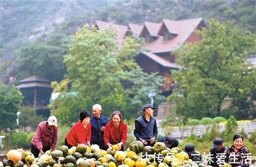 乡村|好风景带来好光景