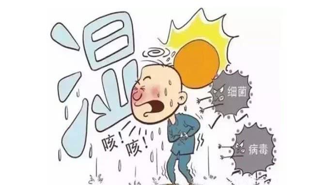 “天然祛湿王”终于找到了, 每天吃一点, 湿气排干净, 体重也降了!