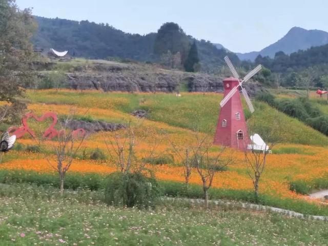 西递|有一种心动，叫黟县的四季