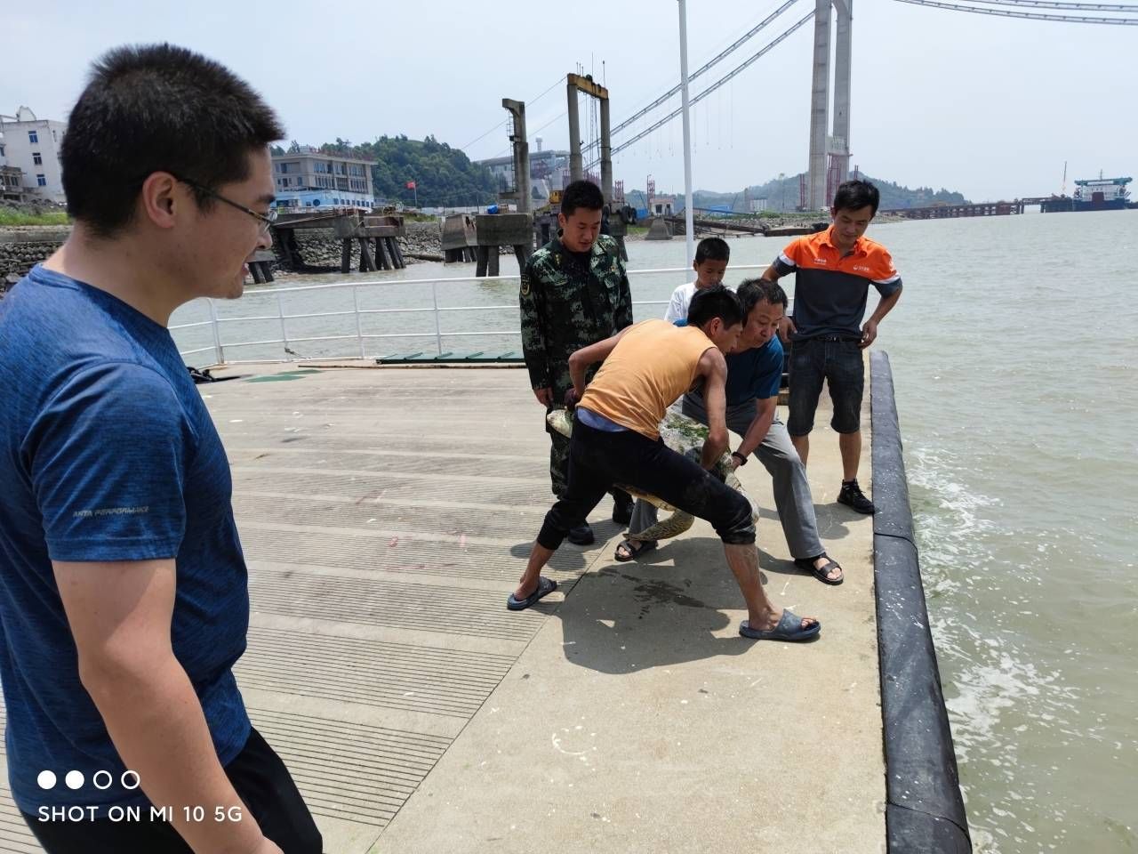 村民们|40公斤大海龟滩涂“迷路” 乐清村民接力营救送回大海