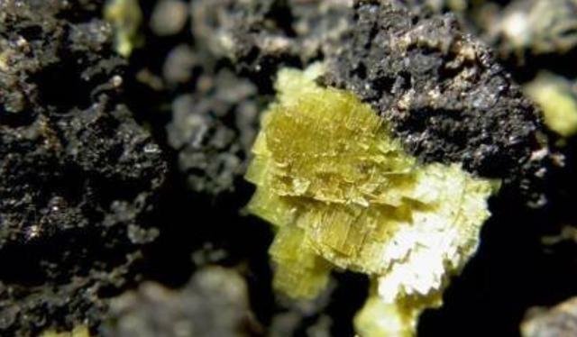 原子弹|二战时日本曾疯狂找这种“石头”,如果找到,历史或将改写