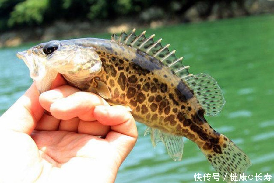  种地方|在水流很急的地方怎么钓鱼三种应对方式，不愁钓不到鱼