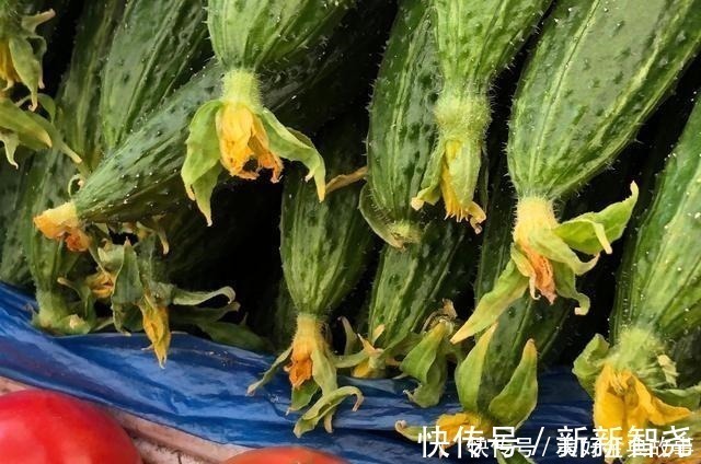 农药残留|原来辨别激素黄瓜如此简单,认准这4点,一眼就看出来,长见识了