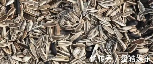 君子兰长势差,都怪盆底没有养花肥,两种料加进去呼呼长新叶开花