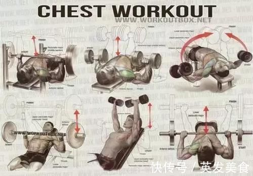 训练|健身房常用训练图解，每张图都是训练计划！