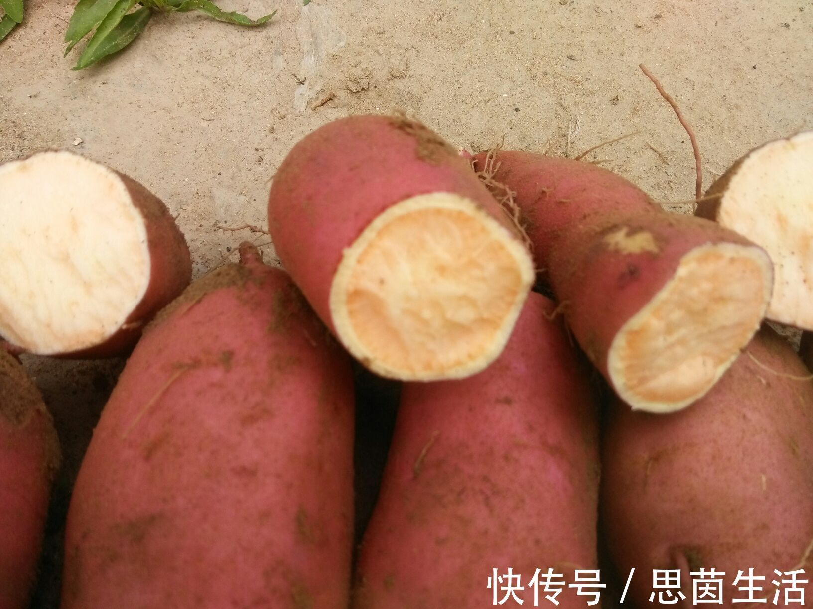汁儿|烤红薯时,别直接烤!再加这一步,个个香甜软糯,糖汁儿四溢