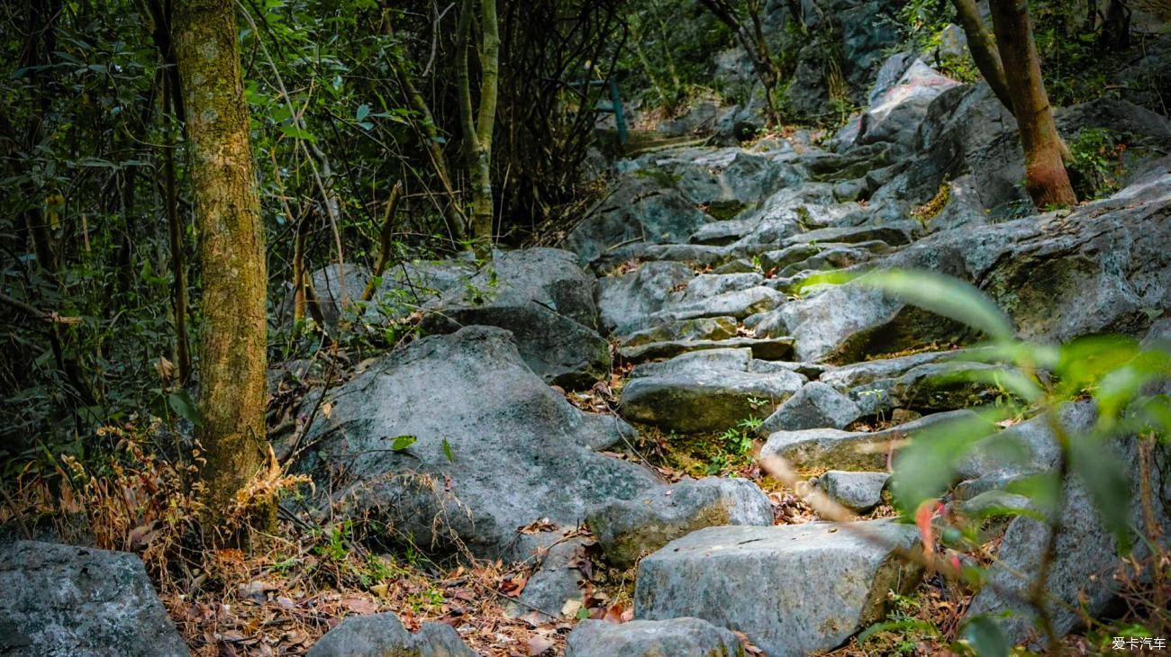 天门中断楚江开,碧水东流至此回—天门山