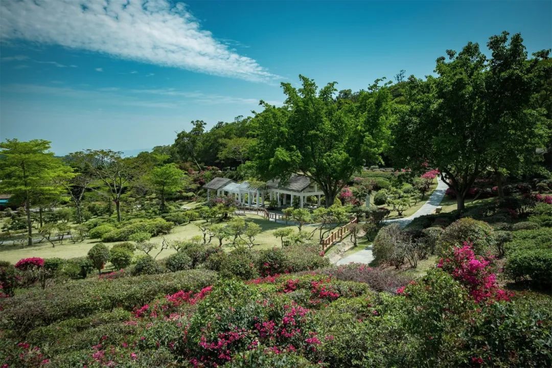 花溪|1日游必去！厦门这条跨山向海的景观大道串起超多小众美景！这么玩才过瘾