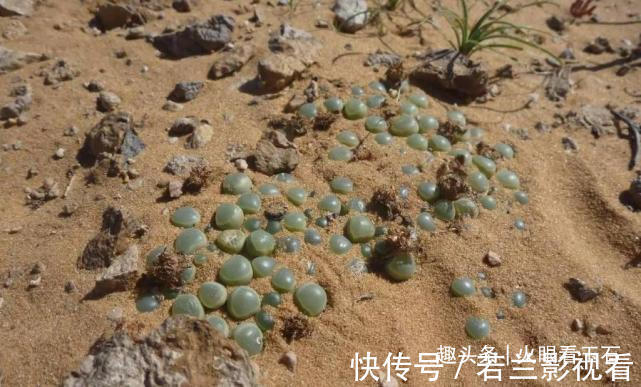 非洲遍地是“宝石”,却无人去捡,当地人:笑而不语