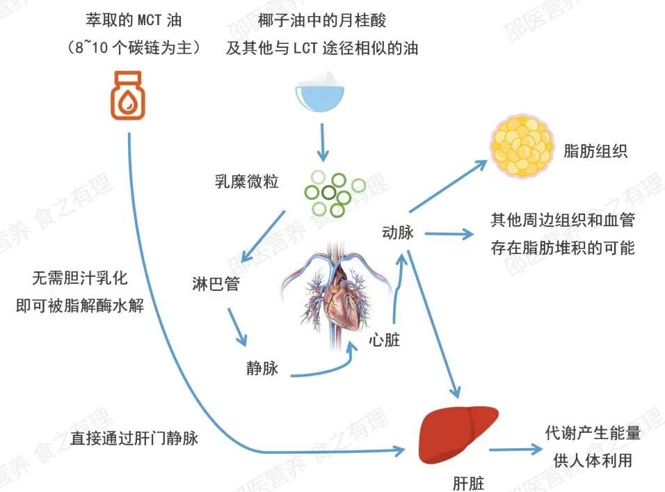 好多人|好多人在喝椰子油减肥，究竟有几分靠谱？