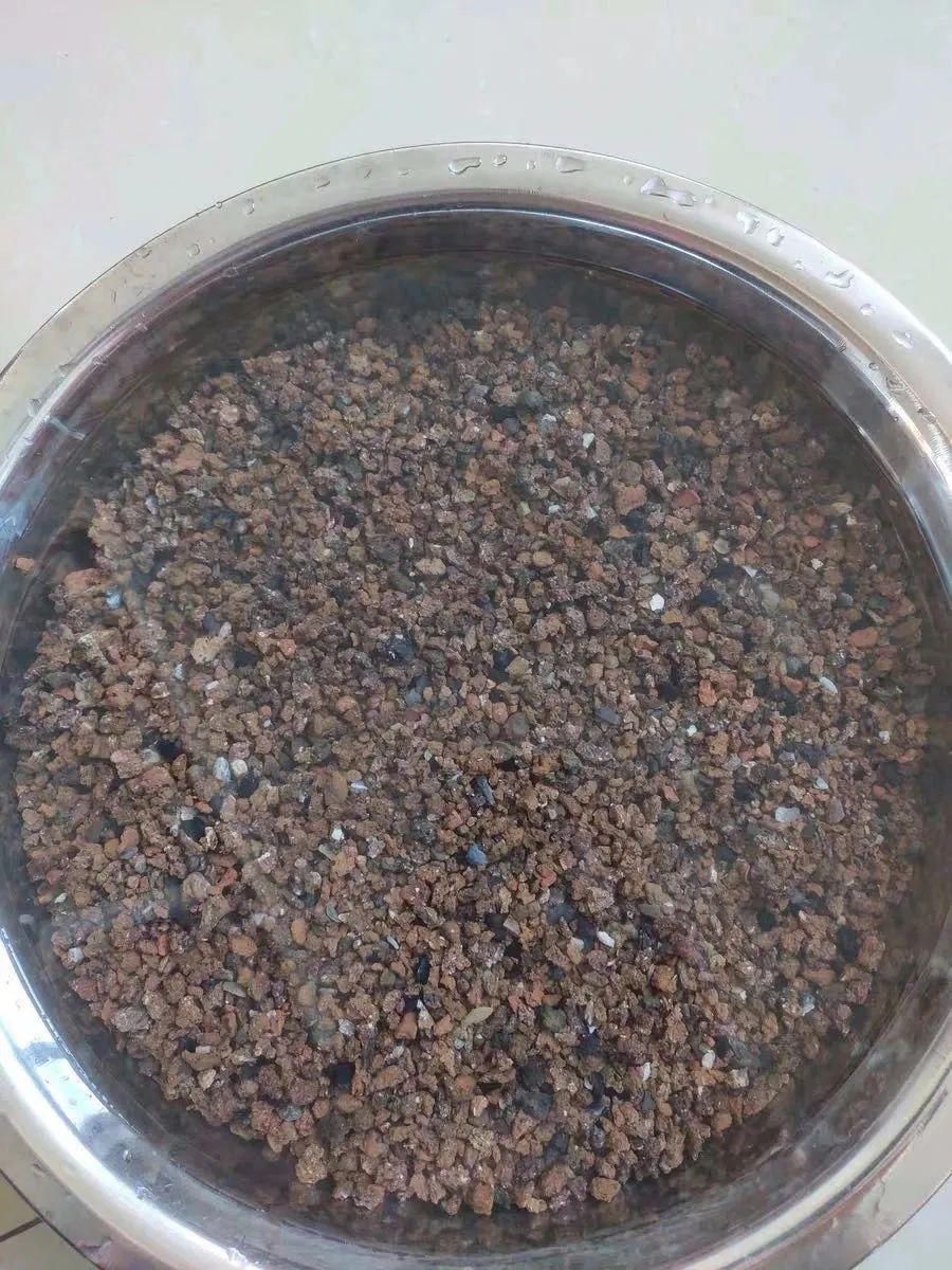 丝瓜络|换盆时,花盆里垫上这5种小东西,透水又透气,再也不怕烂根啦