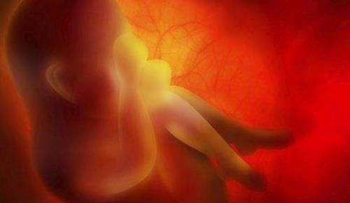 头部|宝宝头部被剖腹产划伤,凭啥不算“事故”院方的回应很有道理