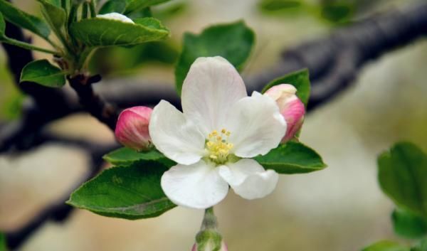 点心眼&为人处世,一定要留4个心眼,尤其是最后一个心眼一定要留