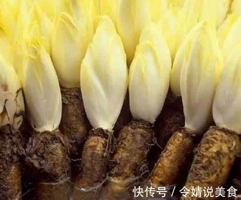 花盆|路边捡个“废根”,扔花盆里,2个月长成高价盆栽,一斤卖80元