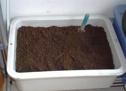 养花旧土该如何重复利用掌握这些，不用多费劲就能变成新土