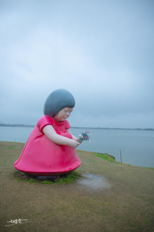 德清这神仙地方，一片浪漫花的海洋，比青海湖多些梨花带雨的清新