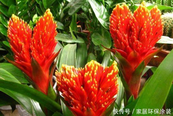 5月11日阴历是多少 5月11日阴历是多少