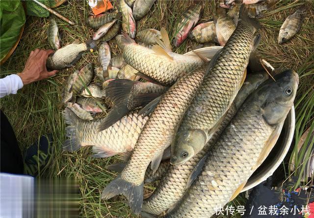 真的|涨水后钓鱼首选这几个地方,只要钓况非极端爆护概率真的很大