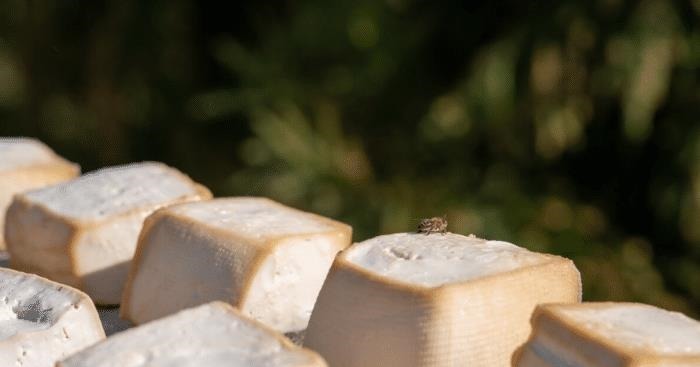 甲状腺结节患者|甲状腺结节患者能吃豆腐吗？医生：不碰这3种食物，结节或会好转