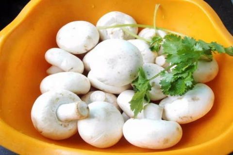 饭量|老年人吃的饭量少,但应确保营养和健康需要