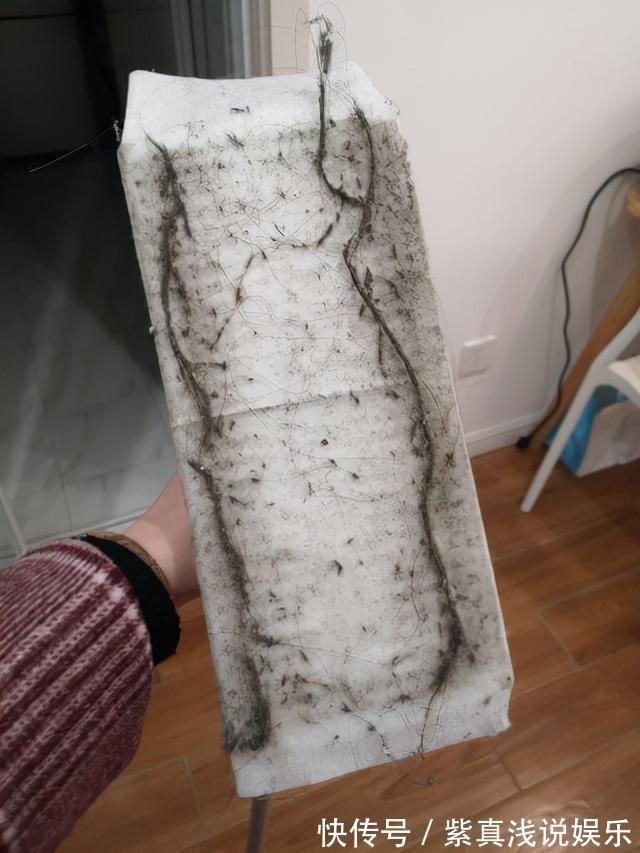 不花哨|装修坚持“不花哨”有多重要?我家厨房用了5年,如今依然耐看