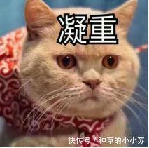 痘痘|行业揭秘丨贵的和便宜的洗面奶，效果真有差别吗？真相让人想哭！