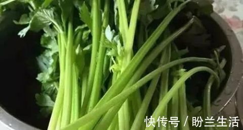 降血压|这道血管菜,降血压,降血脂,稳血糖!好处只有吃了才懂