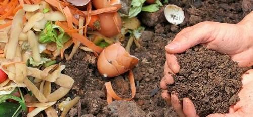 冬末春初，在家自制营养土该怎么操作？收集哪些材料？