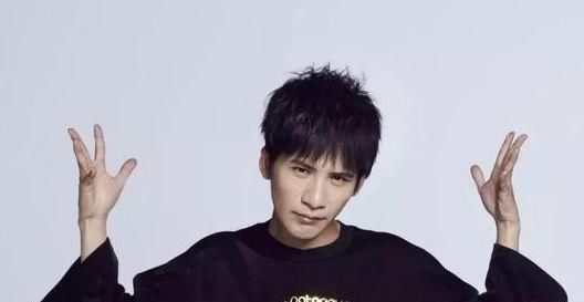 演员不拍戏,歌手不出歌,靠着综艺节目维持人气的明星有哪些